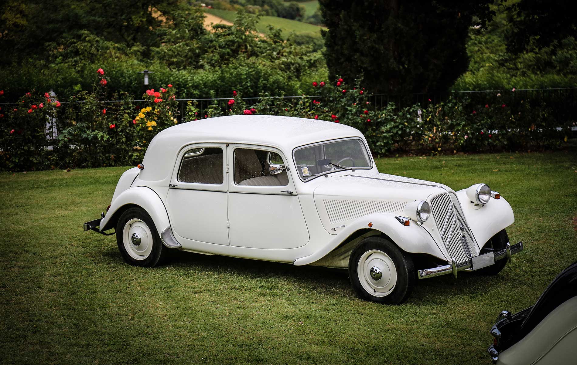 Noleggio jaguar MK V